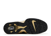 Mens Air DT Max '96 "Colorado Home"